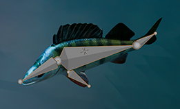 Rigging a fish model.